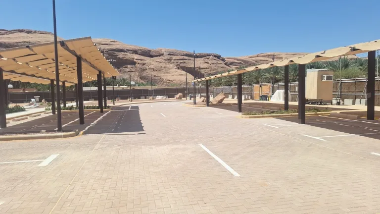 hardscaping,palmtrees