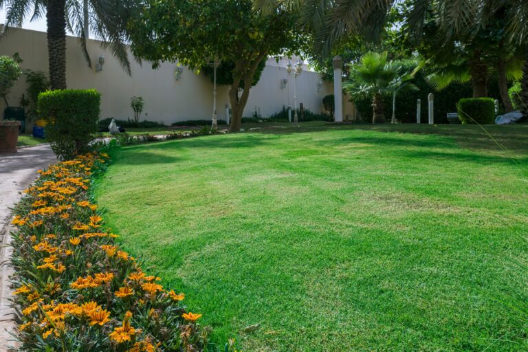 best plants for outdoor in riyadh