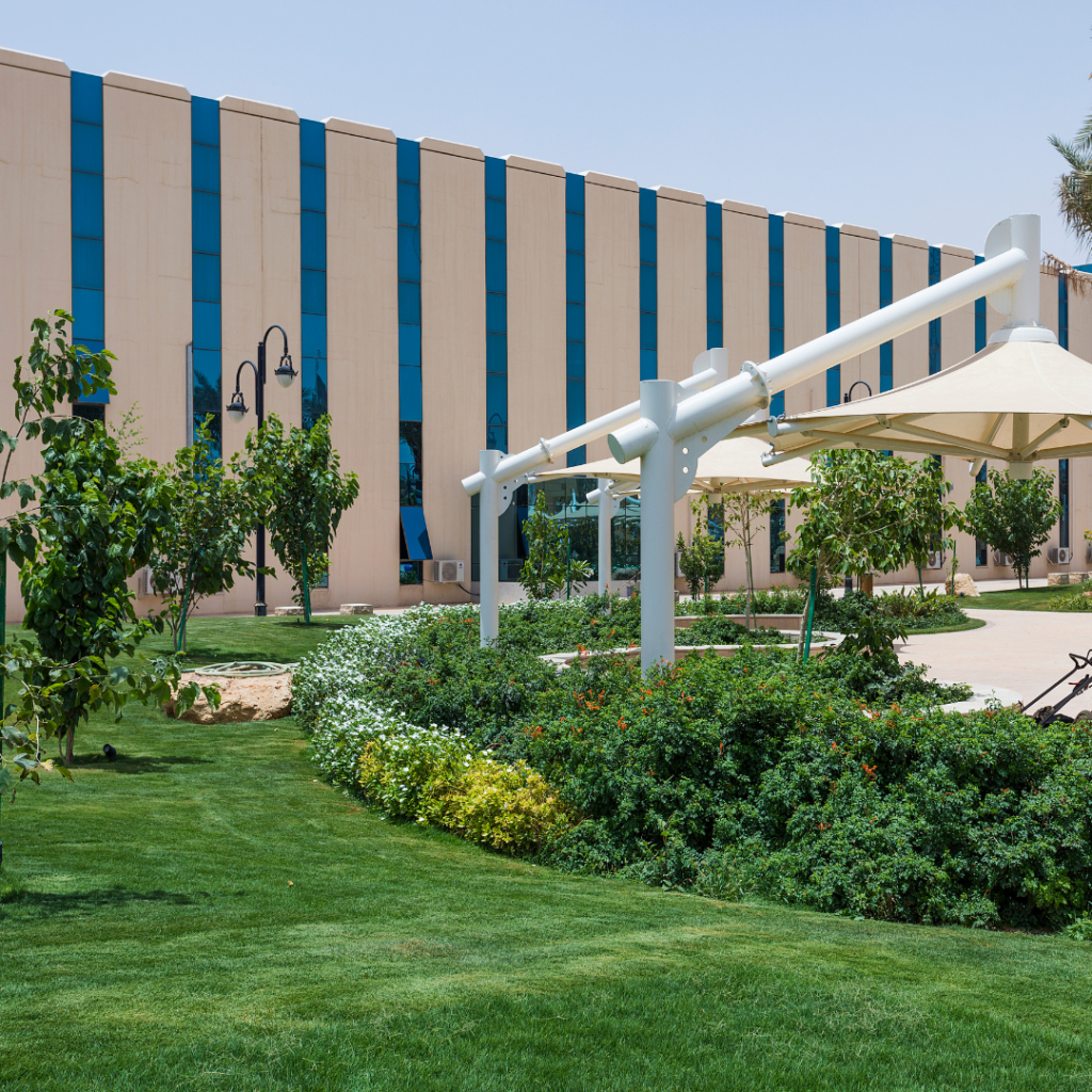 Landscaping mistakes and how to avoid them