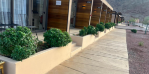 Red sea international project