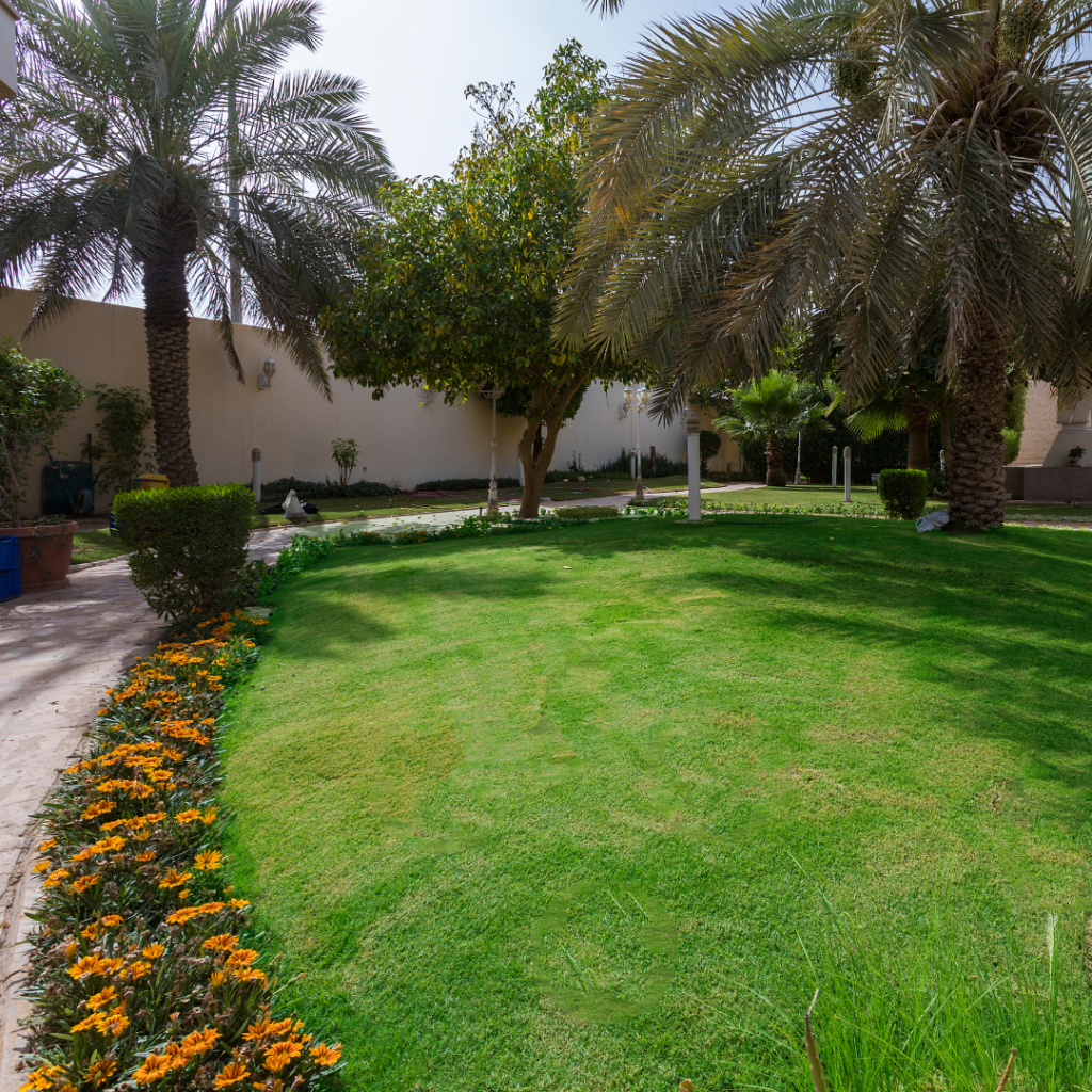 Palm trees and flower bed landscaping in Riyadh — planting and softscape by Nabtat Saudi Arabia
