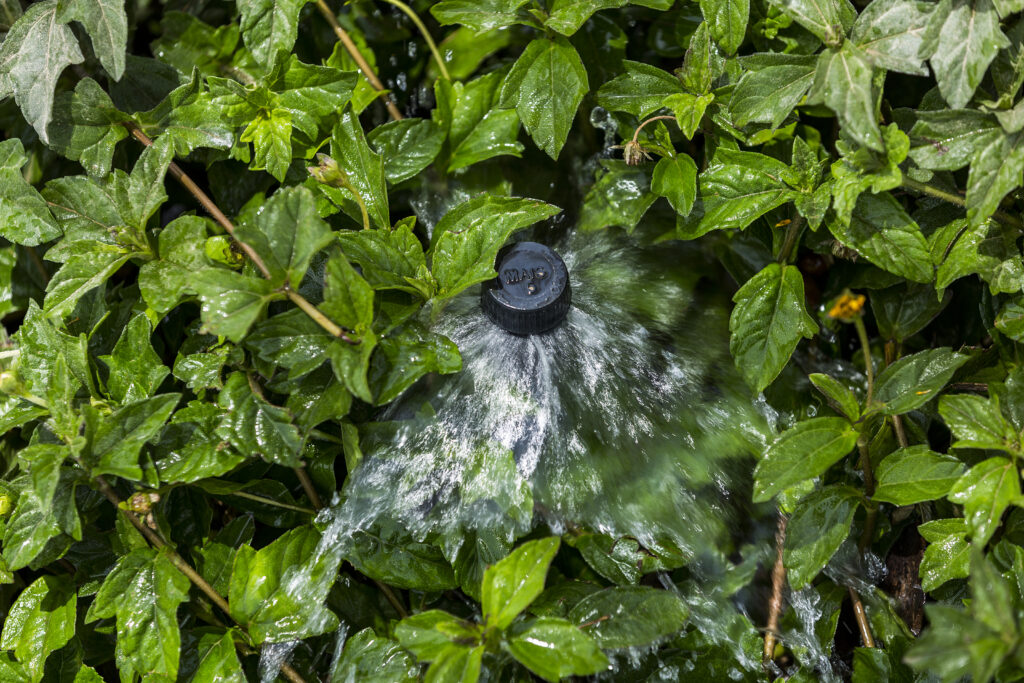 Irrigation system Nabtat Trading Company in Riyadh