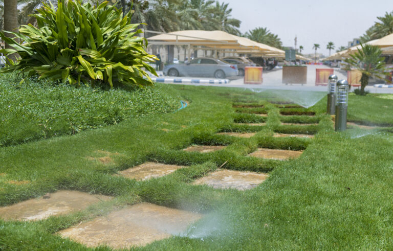 Irrigation system and stone walkways in saudi arabia